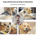 thumbnail image 4 of Indestructible Robust Dino, Interactive Dog Toys, Squeaky Dog Toys For Aggressive Chewers, 4 of 5