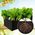 View all media