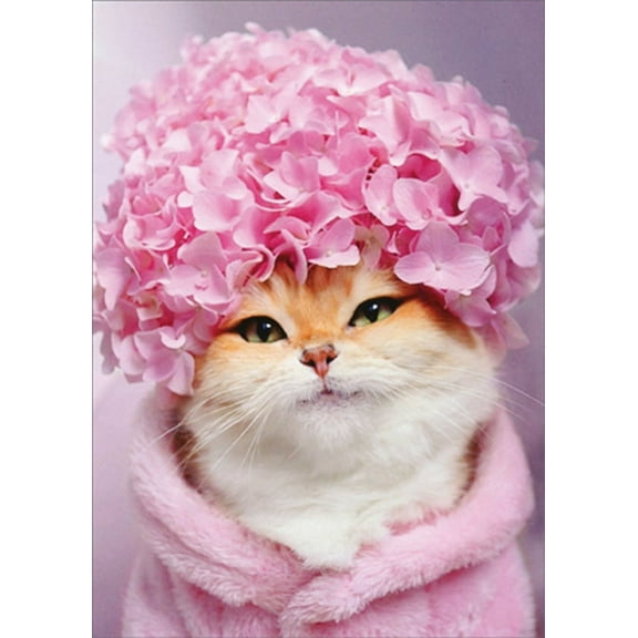 Avanti Press Kitty Cat with Pink Hydrangea Cap Mother's Day Card