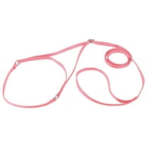 Country Brook Design® Nylon Martingale Dog Show Lead