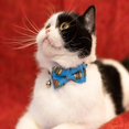 thumbnail image 4 of HLONK Collier pour Chat avec Clochette Nœud Papillon Boucle de Sécurité Chaton Chiot 7-11 Po Mobile Réglable, 4 of 5