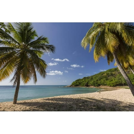 Shopping West Palm Beach Palm Trees Thrive on the Beautiful Beach of Hawksbill, Antigua, Leeward Islands, West Indies Print Wall Art By Roberto Moiola ()