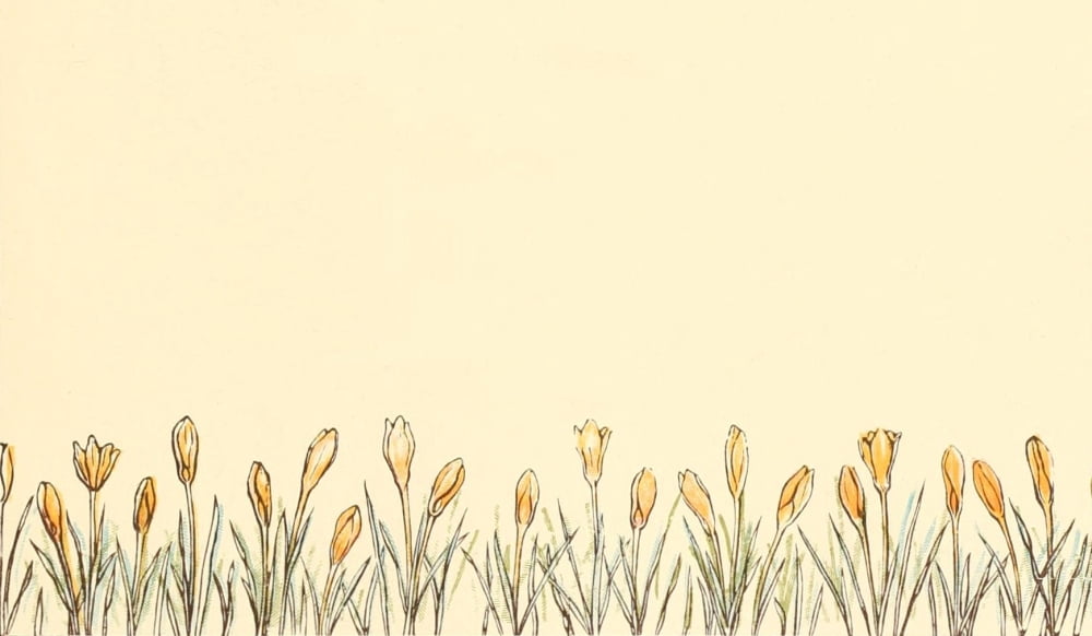 Marigold Garden 190