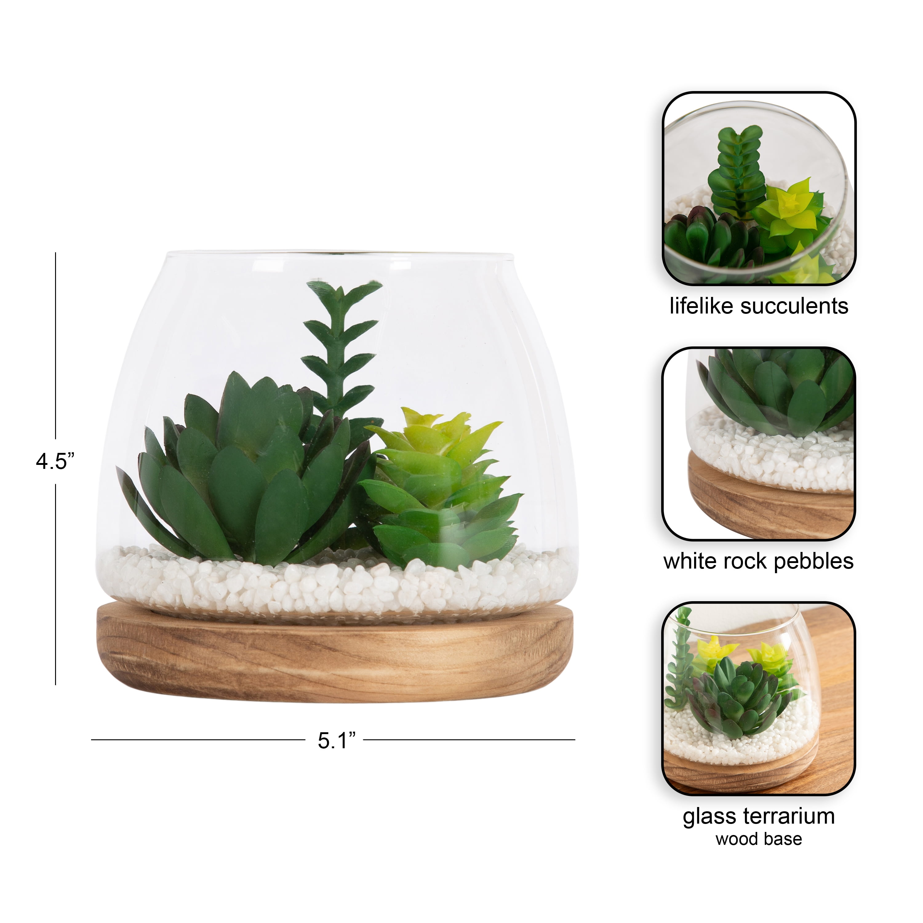 Mainstays 5" Tabletop Faux Succulent Glass Terrarium on Circle Wood Base