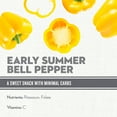 thumbnail image 4 of Whitney Farms Early Summer Bell Pepper, Live Plant, 25 oz., 4 of 9