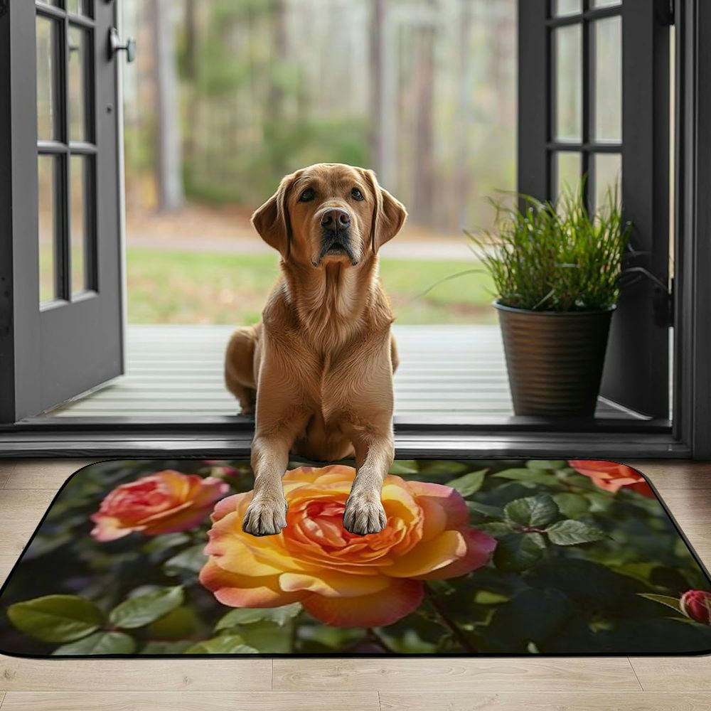 PHYHOO Doormat Floor /Mat - Rose Flower Nature Rose Blooms Garden Garden Rose Decorative Door Mat, Door Mat with Non-Slip Rubber Backing, Easy Cleaning, Traps Dirt, for Entry, Patio