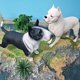 thumbnail image 2 of Figuras de perro Bull Terrier y Dogo Argentino, PVC, 7-22 cm, 2 unidades, 2 of 3