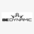 thumbnail image 5 of Dynamic Discs Be Dynamic Logo Sticker, 5 of 5
