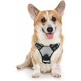 thumbnail image 1 of Rabbitgoo Arnés para Perros, Arnés para Mascotas sin Tirones con 2 Clips para Correa, Chaleco para Perros Acolchado Suave y Ajustable, Chaleco Oxford Reflectante para Mascotas sin asfixia con asa de f, 1 of 4