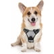 thumbnail image 1 of Rabbitgoo Arnés para Perros, Arnés para Mascotas sin Tirones con 2 Clips para Correa, Chaleco para Perros Acolchado Suave y Ajustable, Chaleco Oxford Reflectante para Mascotas sin asfixia con asa de f, 1 of 4