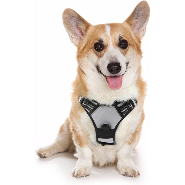 Rabbitgoo Arnés para Perros, Arnés para Mascotas sin Tirones con 2 Clips para Correa, Chaleco para Perros Acolchado Suave y Ajustable, Chaleco Oxford Reflectante para Mascotas sin asfixia con asa de f