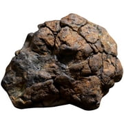 Creative Lithosiderite Sample Irregular Meteorite Science Teaching Material