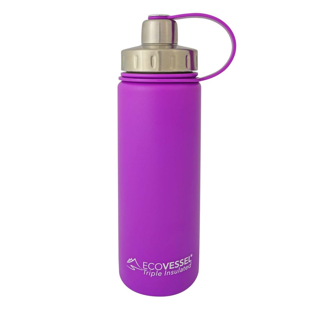 EcoVessel BOULDER 24oz TriMax Triple Insulated Bottle with Tea, Fruit