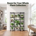 thumbnail image 3 of UNTIMATY 39" x 12" x 62" 7-Tier Black Metal Indoor Outdoor Garden Plant Stand for Potted Plants with Hanging Space, 3 of 11