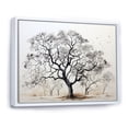 thumbnail image 2 of Designart "Oak Trees In Black And White III" Tree Oak Floater Framed Canvas Prints, 2 of 5