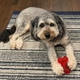 thumbnail image 3 of SPOT Play Strong Bone Durable TPR Dog Chew Toy for Aggressive Chewers, Virtually Indestructible Treat-Fillable Toy for Small and Medium Dogs & Puppies, 4.5 Inch, 3 of 15