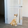 thumbnail image 2 of CTIRCHIU Training Dog Bell Hanging Dog Bell Cotton Rope Door Alert 1Set, 2 of 8