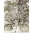 thumbnail image 3 of Phillips, Kathryn 20x24 Black Modern Framed Museum Art Print Titled - Multi Leaves II, 3 of 5
