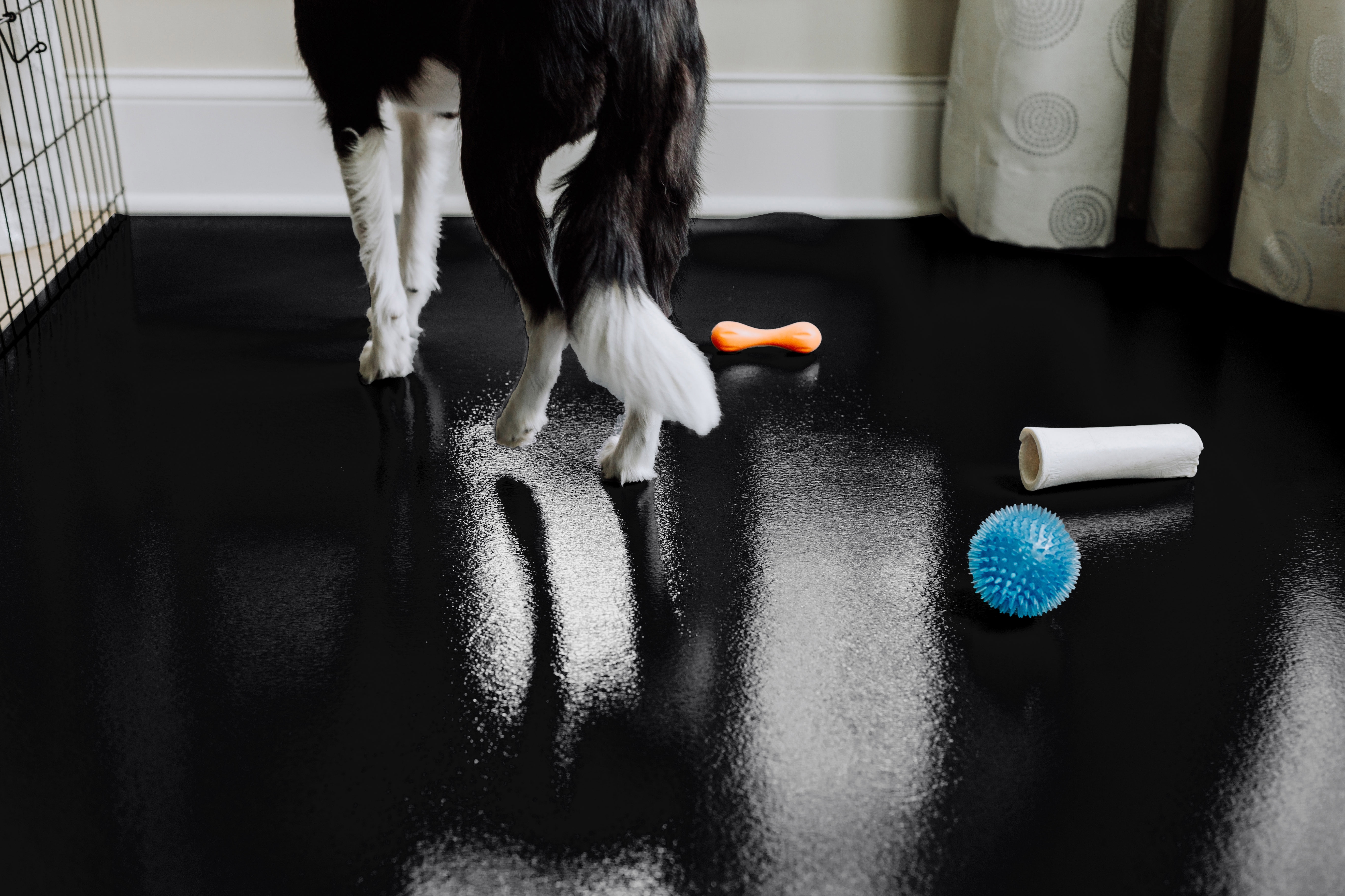 G-Floor 5' x 10' Polyvinyl Ceramic Pet Friendly Carpet Protector for Dogs and Cats - Midnight Black