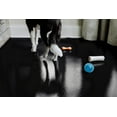 thumbnail image 5 of G-Floor 5' x 10' Polyvinyl Ceramic Pet Friendly Carpet Protector for Dogs and Cats - Midnight Black, 5 of 5