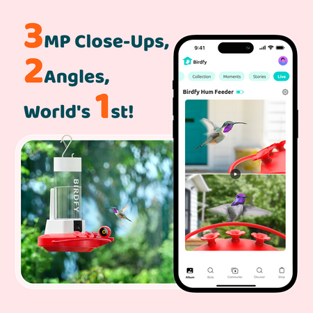 BIRDFY - Smart Hummingbird Feeder, w/Dual HD Cameras, Solar Power, and AI Enabled Bird Recognition - Red and White