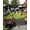 Black, variant on Outdoor Sun Shade Sail 6.5'x10', Eiffel Tower Patio Beach Shade Canopy Cloth Waterproof, Vintage France Romantic European Paris City Art TearResistant & UV Protection Sun Sail for Backyard Garden