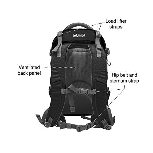 Kurgo pet cheap carrier