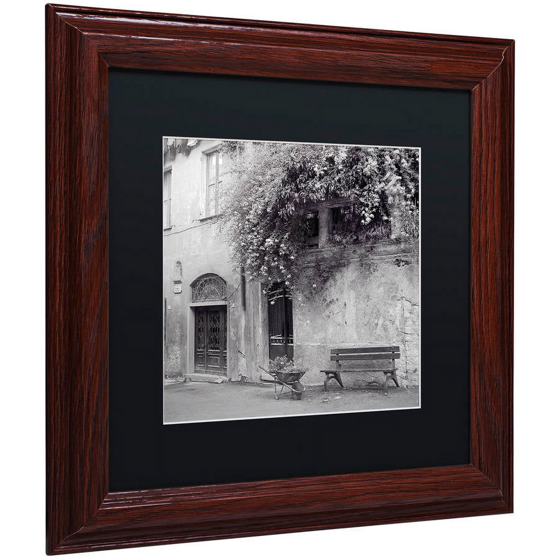 Trademark Fine Art "Liguria I" Canvas Art by Alan Blaustein, Black Matte, Wood Frame