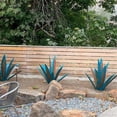 thumbnail image 3 of Adorno de hierro para jardín con diseño de agave azul - Varios tamaños (21cm a 27cm) - Incluye 9 piezas decorativas, 3 of 6