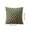 I_Hot#1599, variant on Best Bargains Luxury Velvet Snowflake Decorative Throw Pillow Cover 20x20 inch - Soft PV Velvet Cushion Case with Hidden Zipper for Sofa, Office Chair, Bed - Premium Quilted Lumbar Support Pillowcase