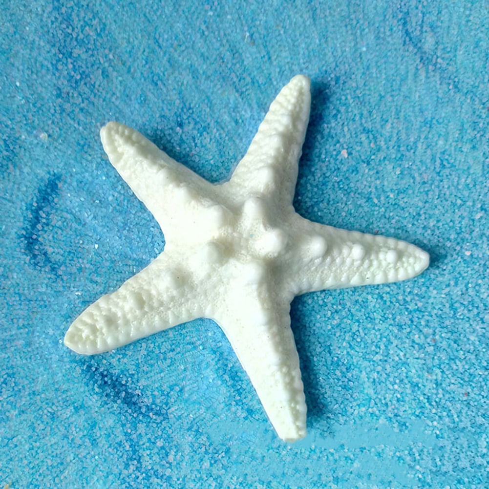 Details about   3Pcs Xmas Resin Starfish Tropical Ornament Beach Ocean Sea Star Home Wall Decor* 