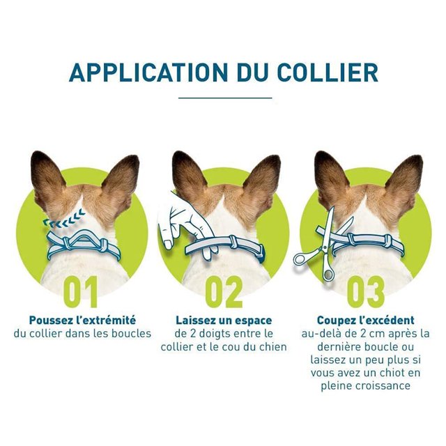 Collar antipulgas de goma, protección de 6 meses, prevención de alergias para perros y gatos, 2 uds.