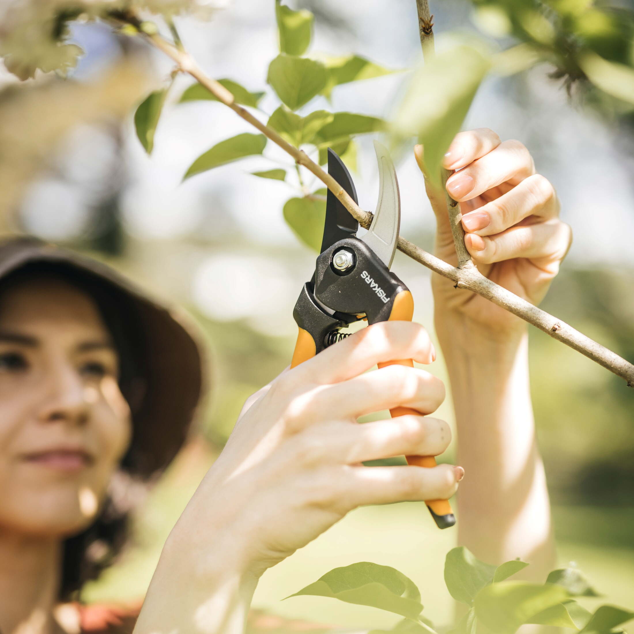 Fiskars 8-Inch Bypass Pruner with Soft Grip Handle photo 5