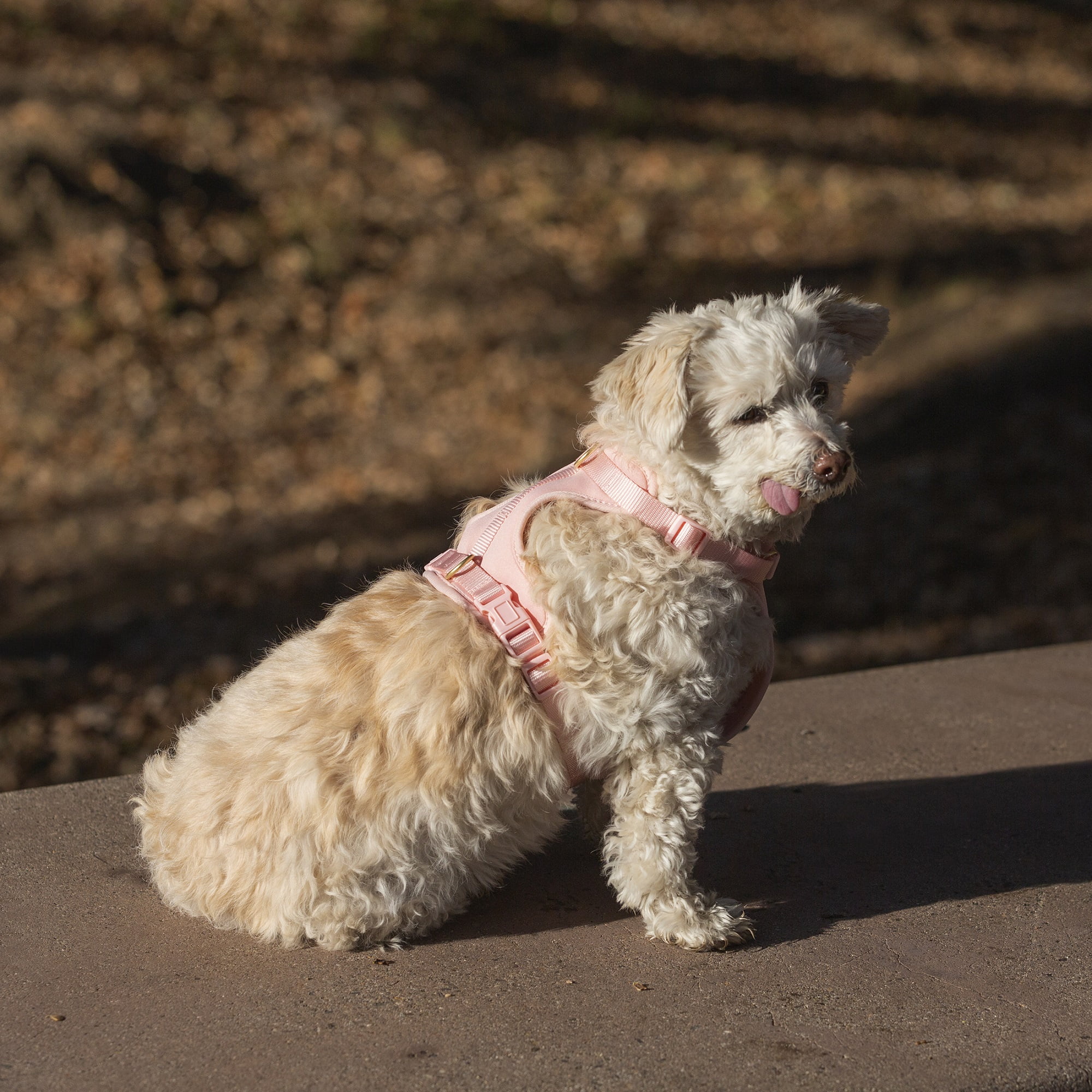 Vibrant Life Pink Adjustable Neoprene Harness for Dogs, Size Small
