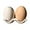 2PCS,Brown & White, variant on Salt and Pepper Shakers: Mini Egg Shaped Salt Shakers for Kitchen,Spice and Sugar Shaker with Holes,Seasoning Shaker for Cafes and Restaurants,Camping Powder Sugar Shaker Cute (2PCS,Brown)