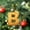 B, variant on Gold 26 Letter Ornaments for Christmas Tree Decoration - Personalized Hanging Pendant Xmas Alphabet for DIY Craft Ornaments (A)