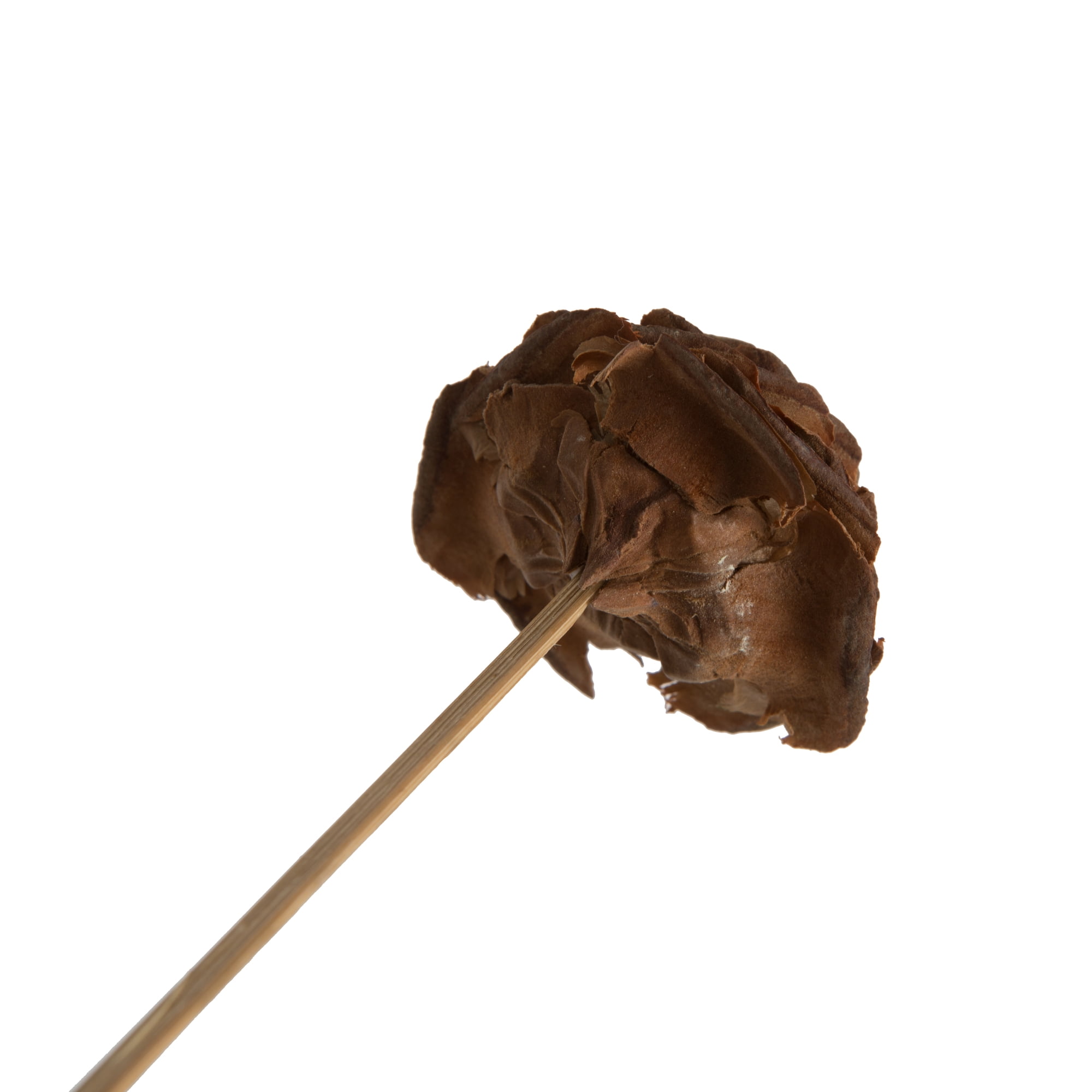 Vickerman Natural Botanicals 1.3"-1.75" Cedar Rose, Natural on Stem. Includes 50 pieces per polybag.