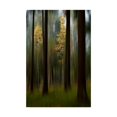 thumbnail image 2 of Bjorn Emanuelson 'Autumn Leaves Yellow' Canvas Art, 2 of 4
