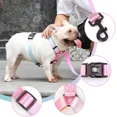 thumbnail image 2 of Pink Dog Harness and Leash Set for Small Dogs, Adjustable Lightweight Dog Harness & Leash, Fashionable, Comfortable, No Pull, 2 of 9