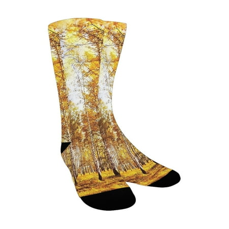 

Trees Birch Decor Lush Foliage Branches and Pond in Woodland Nature Picture Print Art Yellow Brown a Custom Socks for Women