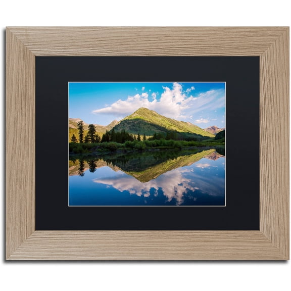 Trademark Fine Art "Wings" Canvas Art by Michael Blanchette Photography Black Matte, Birch Frame