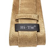 Hi-Tie Gold Silk Ties for Men with Pocket Square and Cufflinks Set Formal Business