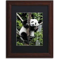 Trademark Fine Art "Giant Panda II" Canvas Art by Philippe Hugonnard, Black Matte, Wood Frame