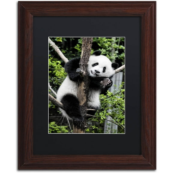 Trademark Fine Art "Giant Panda II" Canvas Art by Philippe Hugonnard, Black Matte, Wood Frame