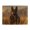 500 Pieces, variant on 500-Piece Wooden Jigsaw Puzzle for Adults - German Shepherd Tactical Gear , Fun & Relaxing Family Game, No-Dust Interlocking Pieces, Perfect Wall Decor & Holiday Gift