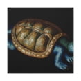 thumbnail image 4 of Box Turtle Baroque - Canvas, 4 of 25
