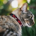 thumbnail image 2 of Buckle-Down Breakaway Cat Collar With Bell, Plastic Clip, Easy Adjustable, Grunge Chaos Red, 8.5 to 12 Inches 0.5 Inch Wide, 2 of 4