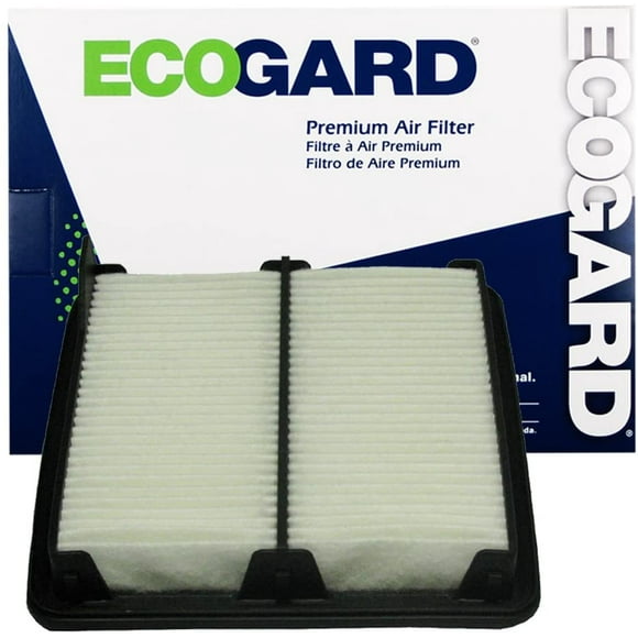 Ecogard XA5652 Air Filter