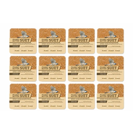 Birds Choice Peanut No Melt Suet - 12 Pack
