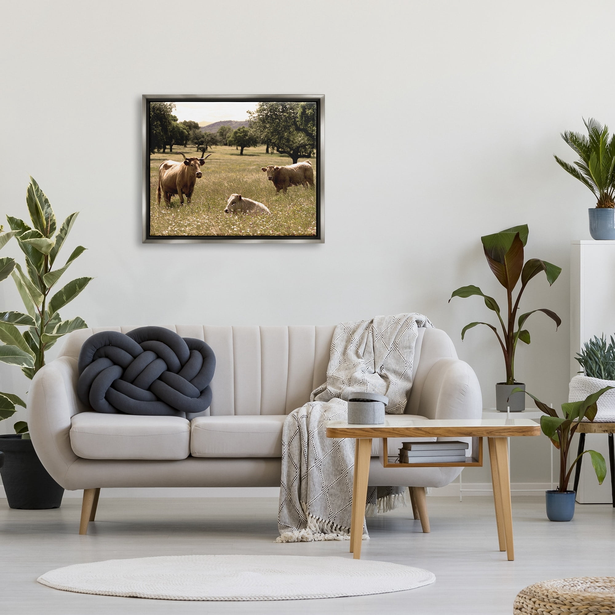 Stupell Industries Three Cattle Relaxing Grassland Pasture Rural Farm Trees Photograph Luster Gray Floating Framed Canvas Print Wall Art, Design by Daphne Polselli